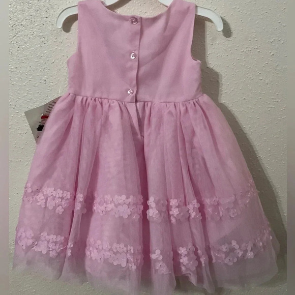 Blueberi Boulevard Pink Little Girls Embroidered & Embellished Mesh Dress 24 M - Picture 2 of 6